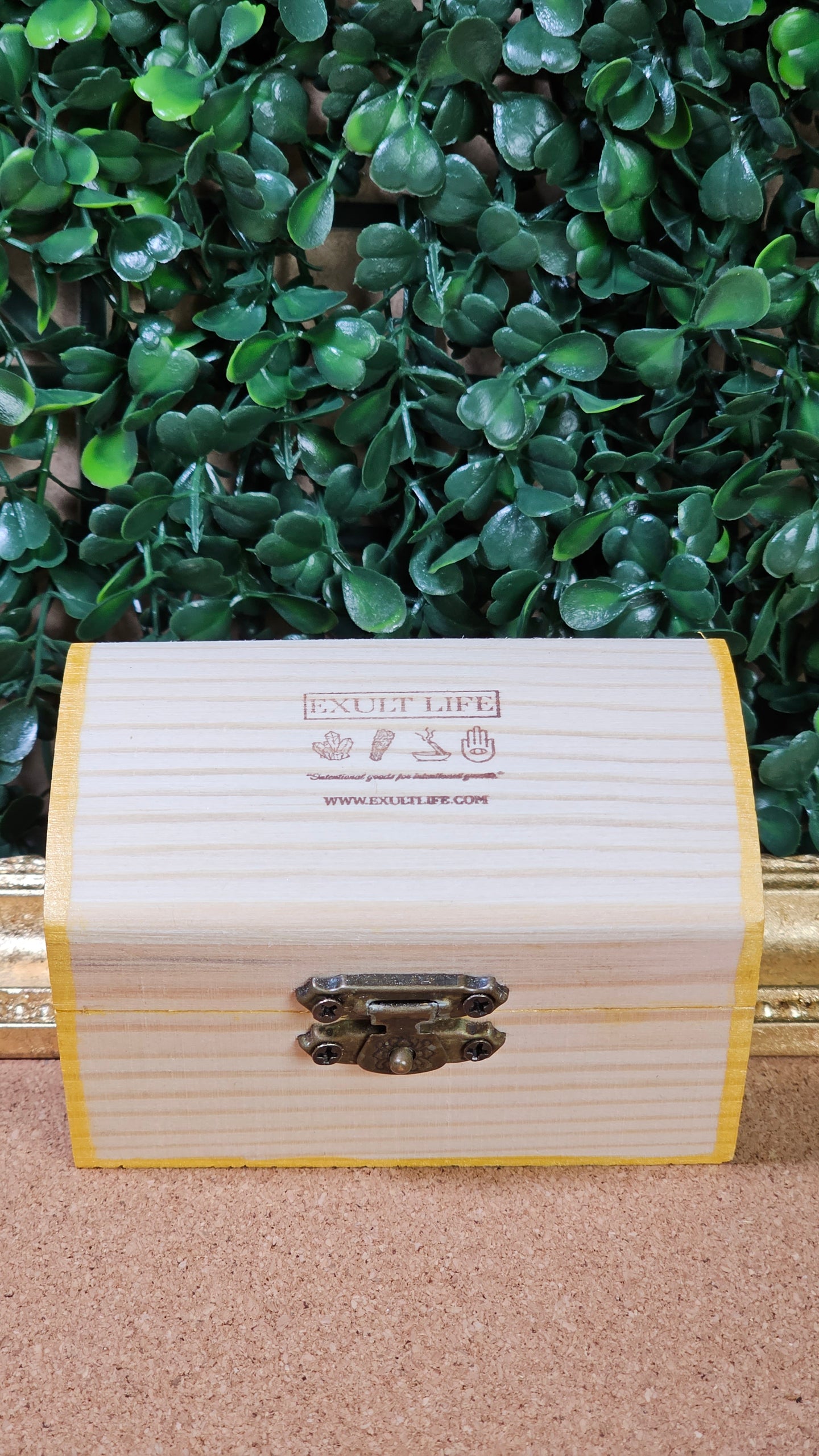 Unleash your Limitless Potential - Treasure Chest